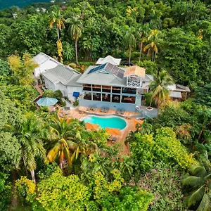 Lf Jungle Retreat Jamaica