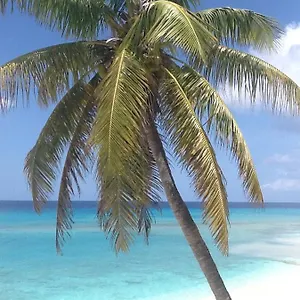 https://the-sands-hotel.comcaribbean.com